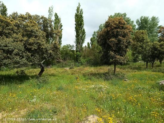 Terreno cercano al pueblo - AVILA