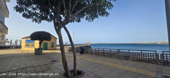 ¡Vive en primera línea de mar con vistas espectaculares! - LAS PALMAS