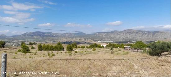 TERRENO RÚSTICO DE 40.000 M2 DE PARCELA EN CAMARA CON AGUA EN ELDA - ALICANTE