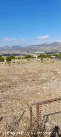 TERRENO RÚSTICO DE 40.000 M2 DE PARCELA EN CAMARA CON AGUA EN ELDA - ALICANTE