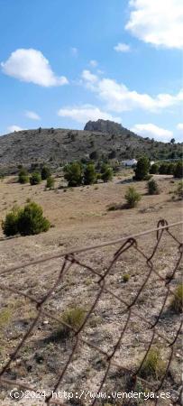 TERRENO RÚSTICO DE 40.000 M2 DE PARCELA EN CAMARA CON AGUA EN ELDA - ALICANTE