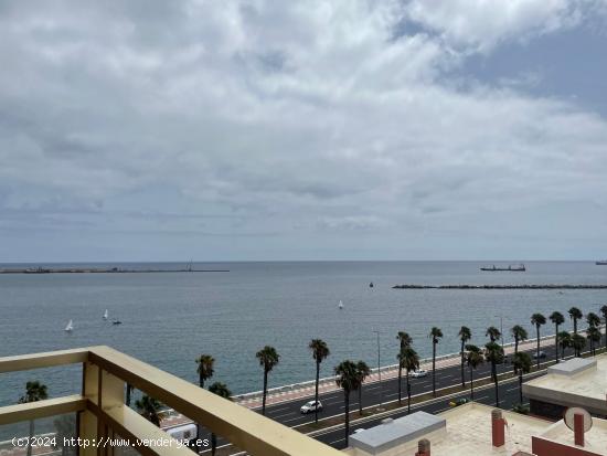 Se Vende en Las Palmas de Gran Canaria - LAS PALMAS