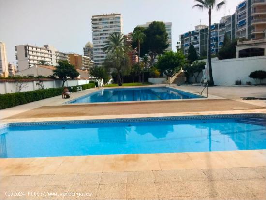 APARTAMENTO, PARKING EN PROPIEDAD Y PISCINA COMUNITARIA - ALICANTE