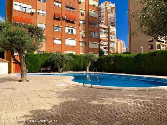  Apartamento reformado con piscina y parking en propiedad - ALICANTE 