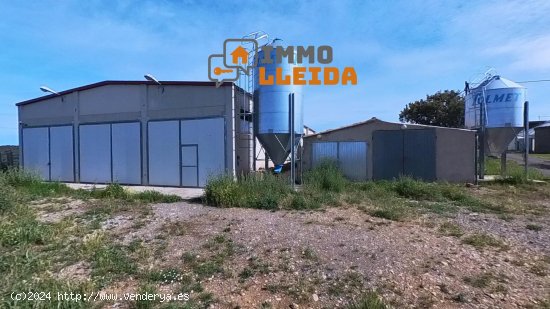 Nave industrial en venta  en Comiols - Lleida