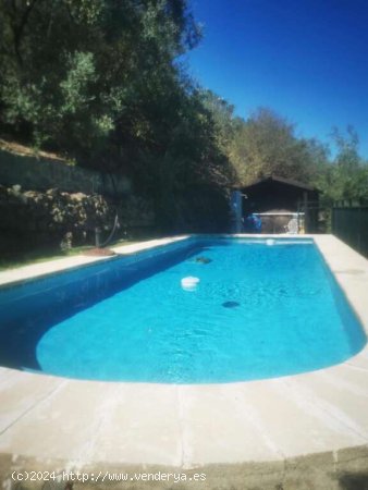 Casa-Chalet en Alquiler en Torrox Málaga