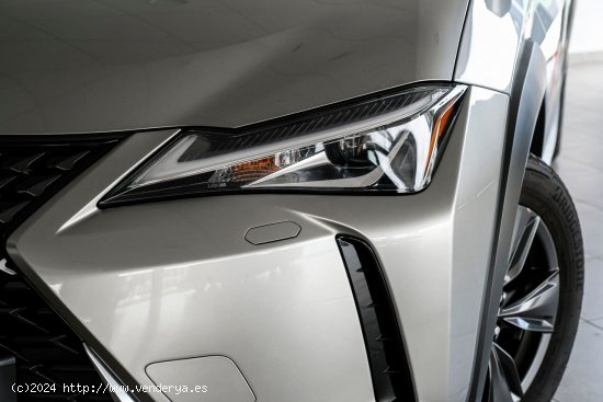 Lexus UX 250H 2WD BUSINESS - A Coruña