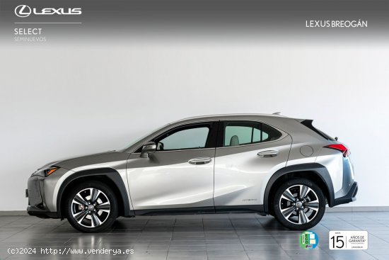 Lexus UX 250H 2WD LUXURY - A Coruña