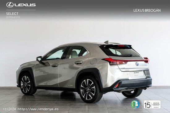 Lexus UX 250H 2WD LUXURY - A Coruña