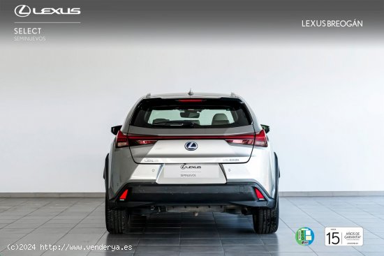 Lexus UX 250H 2WD LUXURY - A Coruña