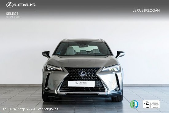 Lexus UX 250H 2WD LUXURY - A Coruña