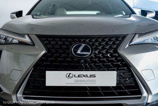 Lexus UX 250H 2WD LUXURY - A Coruña