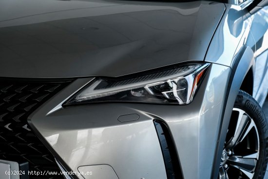 Lexus UX 250H 2WD LUXURY - A Coruña