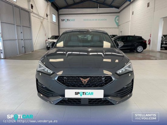 Cupra León  1.5 eTSI 110kW (150CV) DSG - - Almería