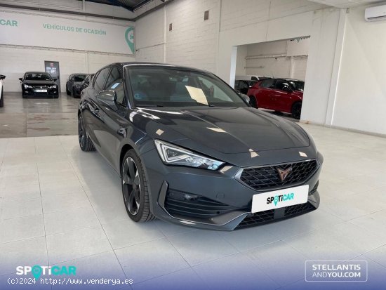 Cupra León  1.5 eTSI 110kW (150CV) DSG - - Almería