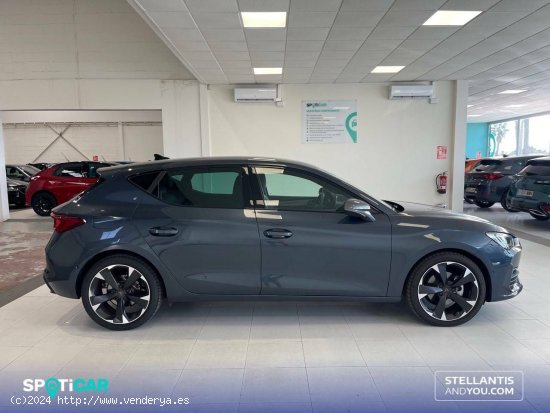 Cupra León  1.5 eTSI 110kW (150CV) DSG - - Almería