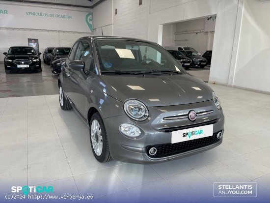 Fiat 500   1.0 Hybrid 51KW (70 CV) Dolcevita - Almería