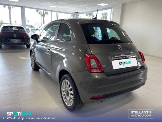 Fiat 500   1.0 Hybrid 51KW (70 CV) Dolcevita - Almería