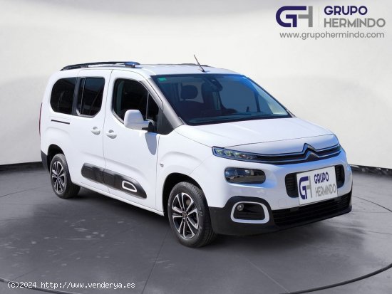  Citroën Berlingo TALLA XL BLUE HDI 100 CV FEEL - Ponteareas 