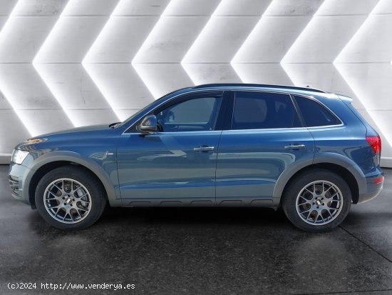 Audi Q5 3.0 TDI clean diesel 258CV quattro S tro - Marbella