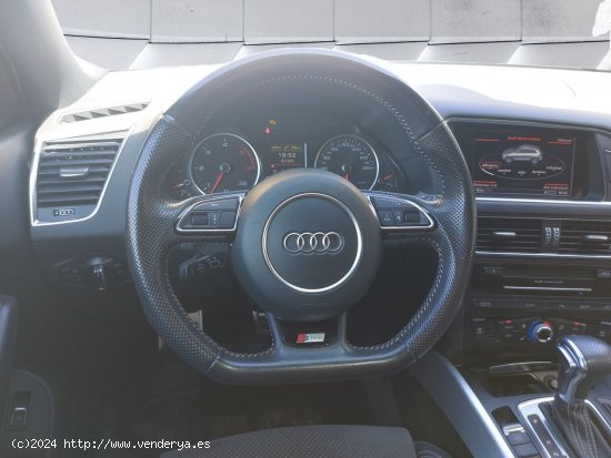 Audi Q5 3.0 TDI clean diesel 258CV quattro S tro - Marbella