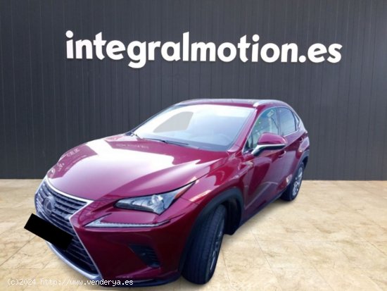  Lexus NX 2.5 300h Executive Navigation 4WD -  