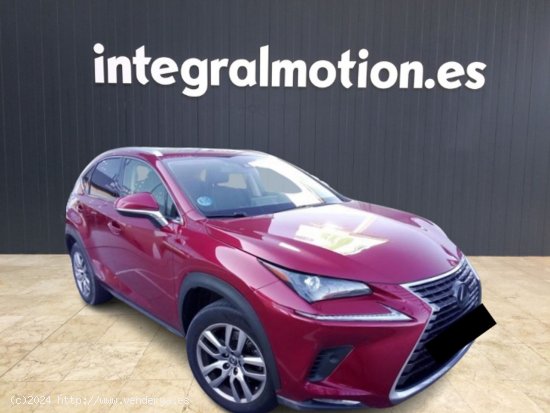 Lexus NX 2.5 300h Executive Navigation 4WD - 