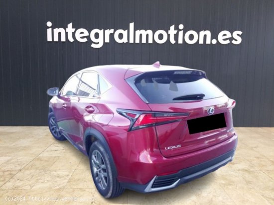 Lexus NX 2.5 300h Executive Navigation 4WD - 