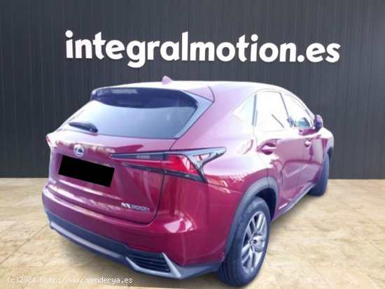 Lexus NX 2.5 300h Executive Navigation 4WD - 