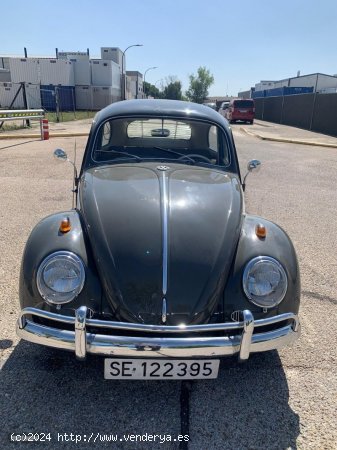 Volkswagen 1962 escarabajo de 1962 con 91.089 Km por 24.600 EUR. en Toledo