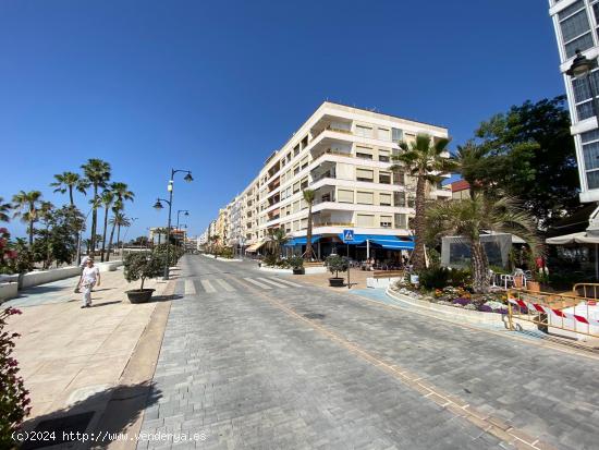 Gran apartamento en primera linea de playa (Paseo Maritmo Estepona) - MALAGA