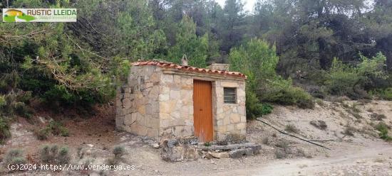  FINCA DE 4 HA. (2 HA. DE CULTIVO Y 2 HA. DE BOSQUE) EN SANTA COLOMA DE QUERALT. - TARRAGONA 