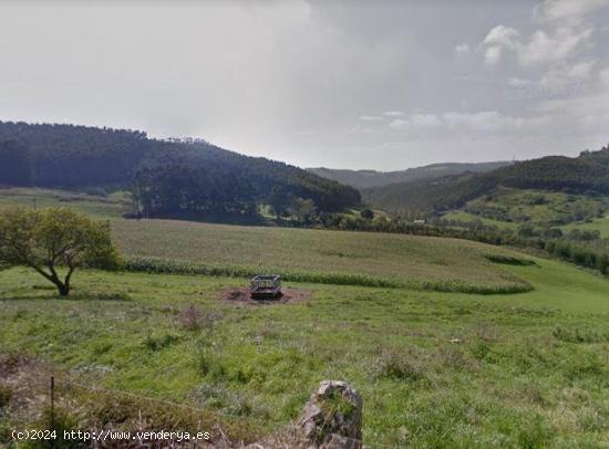 Terreno de 4,6 Hectareas ideal para alguna actividad agricola - CANTABRIA