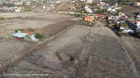 Terreno rústico en venta en la zona de Jardina (Las Mercedes) - SANTA CRUZ DE TENERIFE