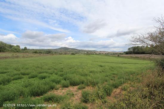 Terreno en Sant joan - BALEARES