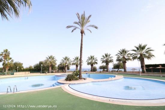 Apartamento TEMPORADAS. Calas de Campoamor en Cabo Roig - ALICANTE