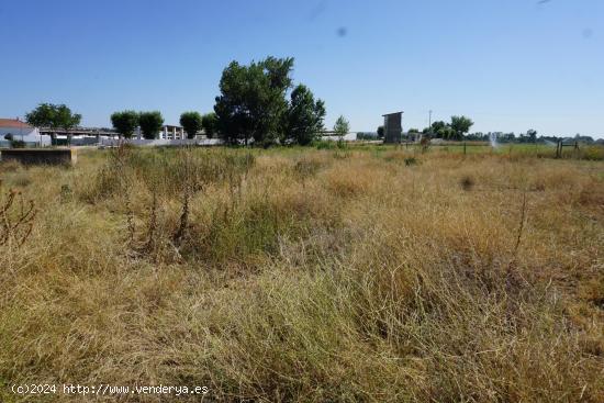 Urbis te ofrece una parcela rústica con vivienda en venta en Santa Marta de Tormes, Salamanca. - SA