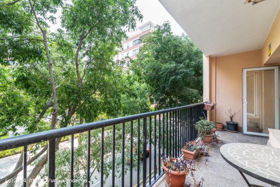 Piso de 140m2 con ascensor  plaza Paris y Blanquerna - BALEARES