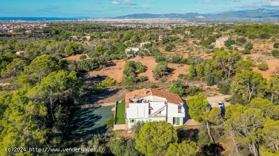 Finca rústica de cuatro habitaciones con piscina en Portol - BALEARES