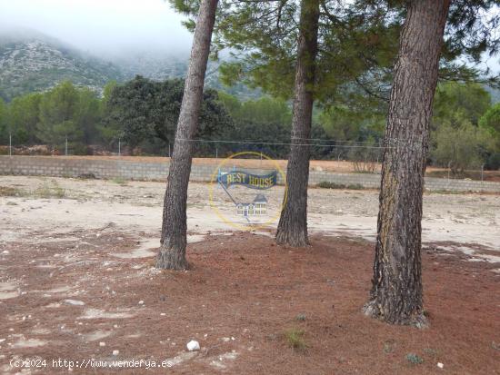 OPORTUNIDAD CASA DE CAMPO EN BOCAIRENT - VALENCIA