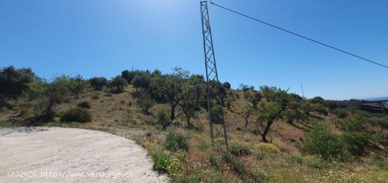 Parcela en Barcenillas ( El palo) - MALAGA