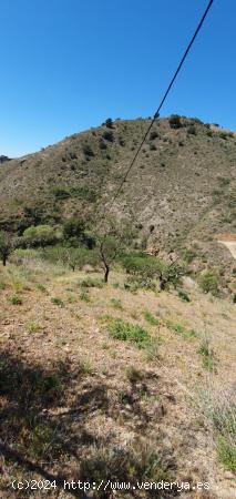 Parcela en Barcenillas ( El palo) - MALAGA