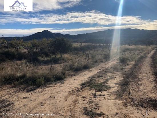 SE VENDE CASA CUEVA EN ABANILLA - MURCIA