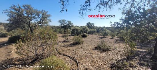 SE VENDE PARCELA A PIE DE CARRETERA EN EL CALATRAVEÑO - CORDOBA