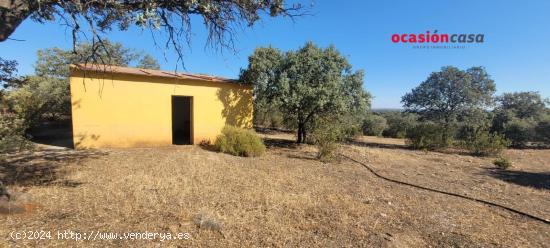 SE VENDE PARCELA A PIE DE CARRETERA EN EL CALATRAVEÑO - CORDOBA