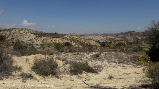 TERRENO RÚSTICO en Los Roques MURCIA - MURCIA