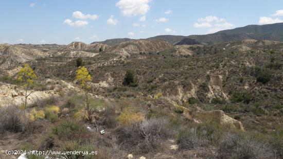 TERRENO RÚSTICO en Los Roques MURCIA - MURCIA