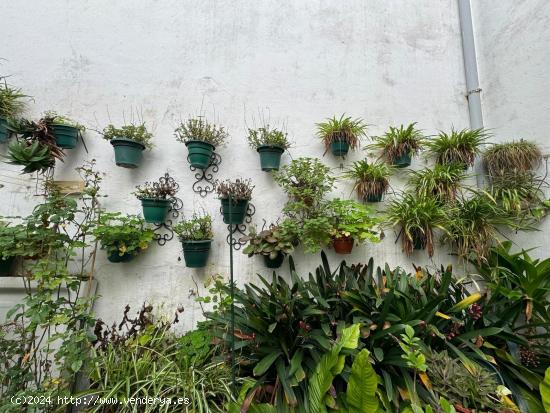 CASA DE TECHOS ALTOS EN PLENA JUDERÍA, CORDOBA - CORDOBA