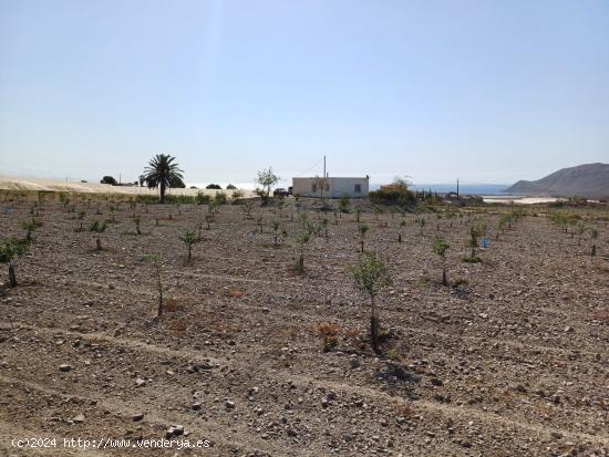 Terreno  con almacén , invernaderos y cabezal de riego - MURCIA