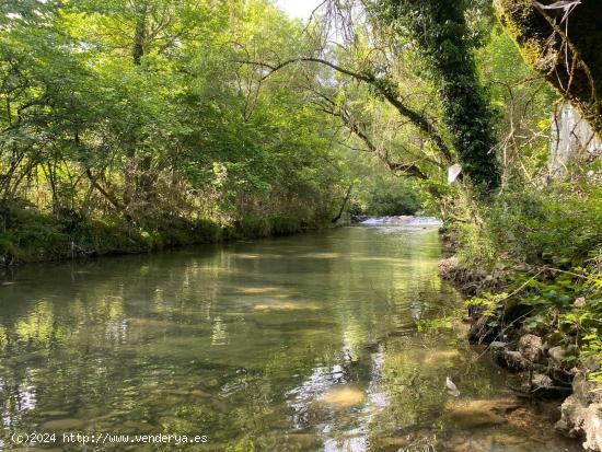 Idílico paraje - NAVARRA